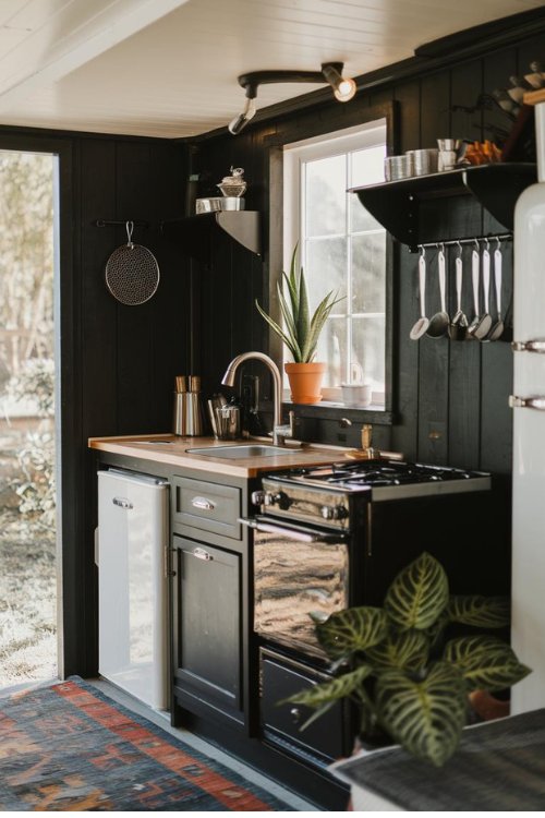 Greenery and Accessories Tiny House Kitchen Black Interiors Design