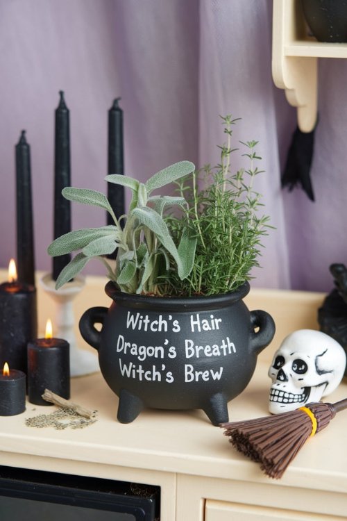 Skull and Black Candle Vignette Bewitching Halloween Decor Ideas for Tiny House Kitchens