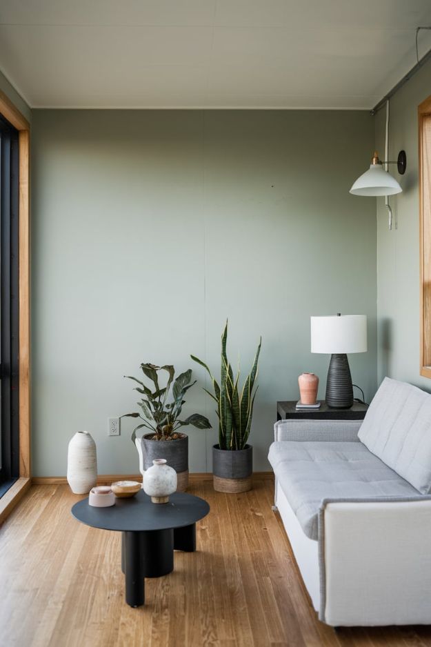 Modern Minimalist Color Schemes Genius Modern Tiny House Living Room Ideas