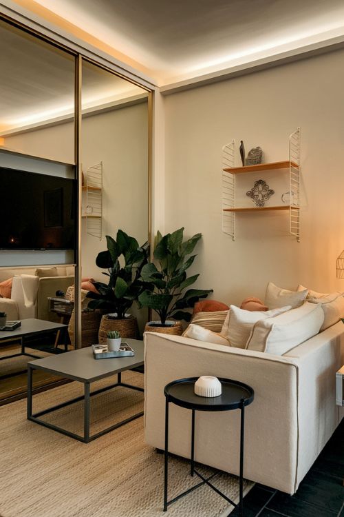 TV Behind a Mirror Small Living Room Ideas with TV